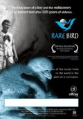 Rare Bird - трейлер и описание.