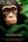 Шимпанзе - трейлер и описание.