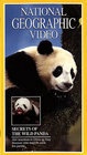 Secrets of the Wild Panda - трейлер и описание.