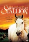 Peter Lundy and the Medicine Hat Stallion - трейлер и описание.