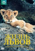 BBC: Жизнь львов - трейлер и описание.