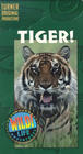 Tiger! - трейлер и описание.