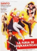 La furia de los karatecas - трейлер и описание.