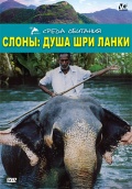 Слоны: Душа Шри-Ланки - трейлер и описание.