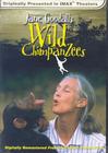 Jane Goodall's Wild Chimpanzees - трейлер и описание.