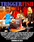 Triggerfish - трейлер и описание.