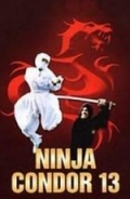 Ninjas, Condors 13 - трейлер и описание.