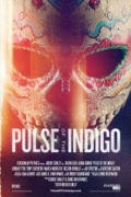 Pulse of the Indigo - трейлер и описание.