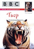 BBC: Тигр - трейлер и описание.