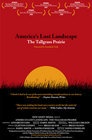 America's Lost Landscape: The Tallgrass Prairie - трейлер и описание.