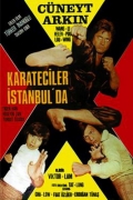 Каратисты в Стамбуле - трейлер и описание.