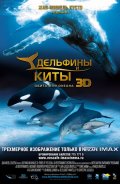 Дельфины и киты 3D - трейлер и описание.