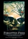 Forgotten Fires - трейлер и описание.