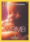 Life Before Birth - трейлер и описание.