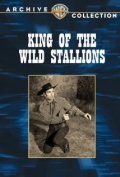 King of the Wild Stallions - трейлер и описание.