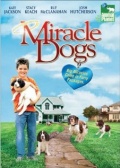 Miracle Dogs - трейлер и описание.