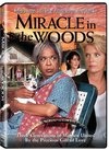 Miracle in the Woods - трейлер и описание.