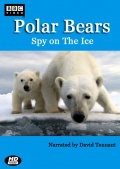 Polar Bears: Spy on the Ice - трейлер и описание.