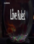 Love Rules! - трейлер и описание.
