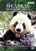 Медведь: Шпион леса - трейлер и описание.