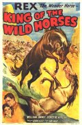The King of the Wild Horses - трейлер и описание.