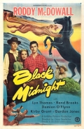 Black Midnight - трейлер и описание.
