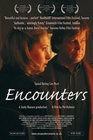 Encounters - трейлер и описание.