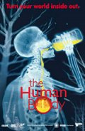 Человеческое тело - трейлер и описание.