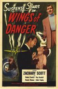 Wings of Danger - трейлер и описание.