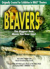 Beavers - трейлер и описание.