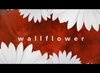 Wallflower - трейлер и описание.