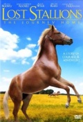 Lost Stallions: The Journey Home - трейлер и описание.