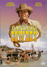 The Castaway Cowboy - трейлер и описание.