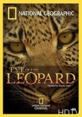 Глазами леопарда - трейлер и описание.
