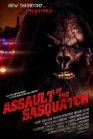 Sasquatch Assault - трейлер и описание.