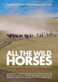 All the Wild Horses - трейлер и описание.