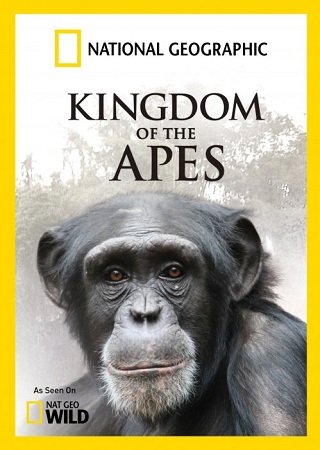 Королевство обезьян: Брат на брата - трейлер и описание.