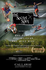 The Secret Spot - трейлер и описание.