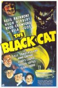 Черная кошка - трейлер и описание.