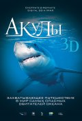 Акулы 3D - трейлер и описание.