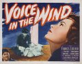 Voice in the Wind - трейлер и описание.