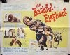 The Bashful Elephant - трейлер и описание.
