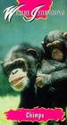 Шимпанзе: Такие же как мы - трейлер и описание.