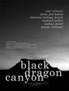 Black Dragon Canyon - трейлер и описание.