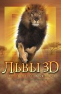 Львы 3D - трейлер и описание.