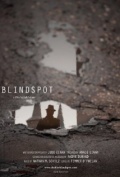 Blindspot - трейлер и описание.