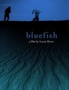Bluefish - трейлер и описание.