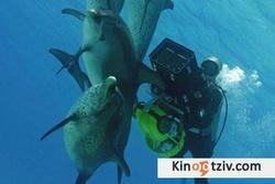 Смотреть фото Дельфины и киты 3D.