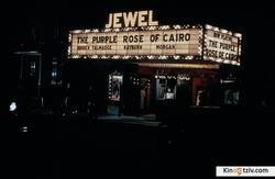 Смотреть фото Пурпурная роза Каира.