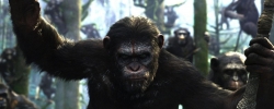 Смотреть фото Планета обезьян: Война.